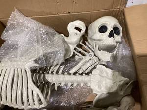 Halloween Skeleton 60x16
