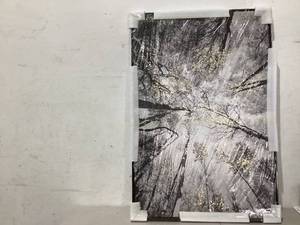 48.5 32.5 Wall Art