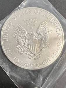 2013 AMERICAN SILVER EAGLE 1 TROY OZ .999 FINE SILVER