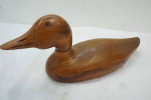 Duck