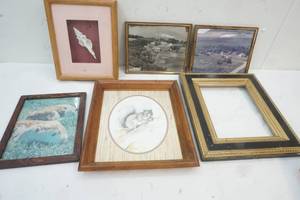 shell picture