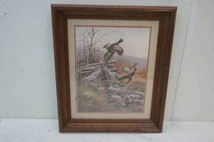 Pheasant picture
