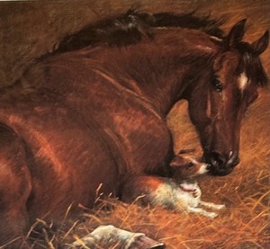 lot 434 image: Comfort and Joy Framed Print by Jenness Cortez