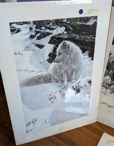 lot 455 image: Assorted Unframed Big Cat Prints