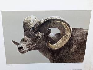 lot 457 image: Three Unfamed Nature Prints