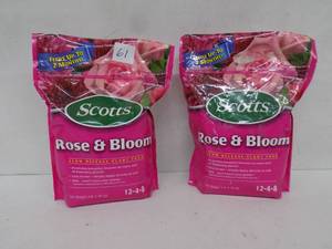 lot 61 image: 2 - Scotts Rose and bloom