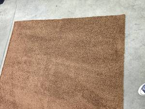 lot 72 image: Chocolate Family Room Area Rug