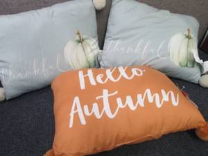 3 Fall Pillows...