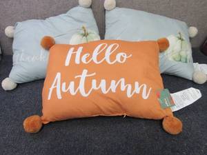 3 Fall Pillows...