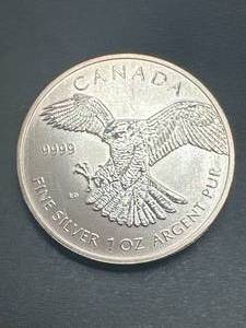 1oz .9999 Silver Canadian Round
