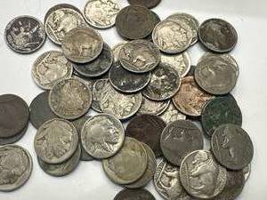 Lot of 50 Buffalo Nickels