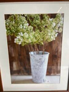 lot 268 image: HOVSTA Framed Floral Art Print 31x41cm