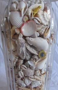 Vintage (1980s) Texas Shell collection lamp