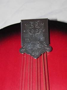 Musical (functioning) Instruments  Mandolin  and Guitar