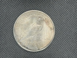 1924 P Peace Dollar, Toned