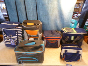 lot 58 image: 6 Rite Aid Home Design Insulated Coolers