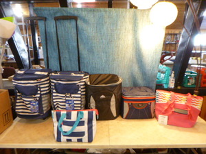 lot 59 image: 6 Rite Aid Home Design Insulated Coolers