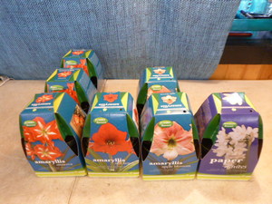lot 130 image: Flower Bulbs