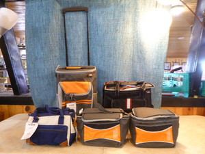 lot 132 image: 5 Rite Aid Polar Pack Soft-Sided Insulated Coolers