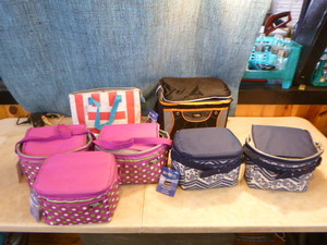 lot 133 image: 6 Rite Aid Polar Pack Soft-Sided Coolers