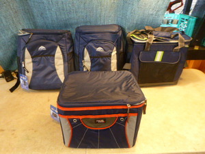 lot 134 image: 4 Rite Aid Polar Pack Soft-Sided Coolers