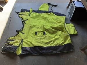 64 Challenger Horse Blanket
