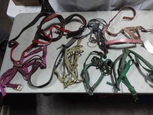 Horse Tack-Halters