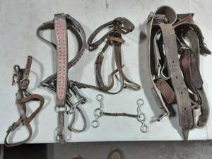 Horse Tack-Leather Halters, Straps, Bit