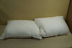 lot 169 image: 2 Utopia Queen Pillows 20x28