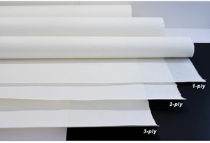 lot 204 image: 10-Piece Korean Traditional Mulberry Paper 28.3x55.9 Double Ply