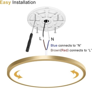 lot 214 image: Neltbesin 15.7 LED Flush Mount Ceiling Light -Gold