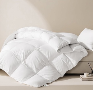 lot 220 image: Zoom Luan Lightweight Goose Down Comforter -King, White