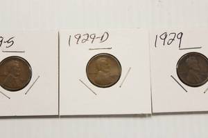 1929, 1929- D, 1929- S Wheat Back Pennies