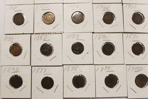 20 Indian Head Pennies, 1880 - 1907