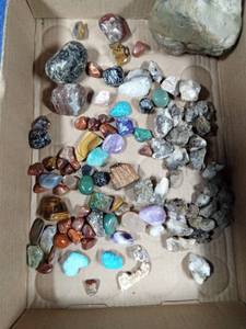 lot 146 image: Polished and unpolished rocks
