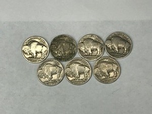 lot 257 image: 7 - Buffalo Indian Head Nickels
