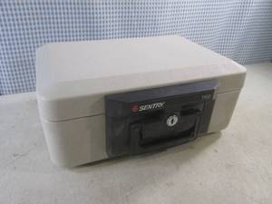 lot 183 image: (BS) Sentry 1100 Fire Safe with 3 K...