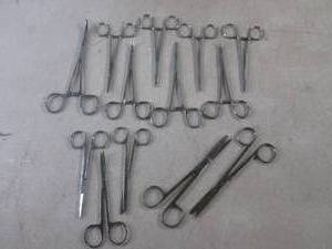lot 220 image: (EC1) Assortment of Forceps and Small Scissors