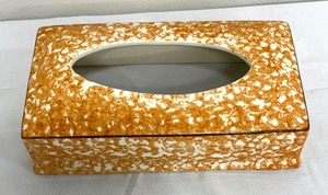 lot 57 image: Vintage Stangl Pottery Spongeware Tissue Box Holder