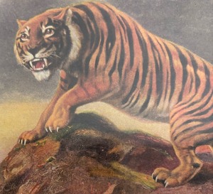 lot 207 image: A Royal Outlaw Framed Print by R. Atkinson Fox