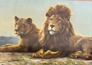 lot 229 image: Strength and Security Framed Print by R. Atkinson Fox