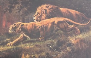 lot 230 image: Lions and Trees Framed Print by R. Atkinson Fox