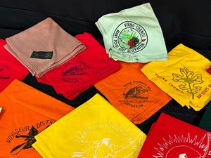 lot 72 image: Variety of Vintage Boy Scouts of America Scarves