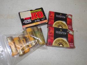 Shotgun Shells