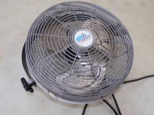 Hanging 12 Fan
