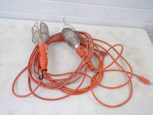 Pair of Trouble Lights