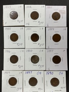 12- Indian Head pennies