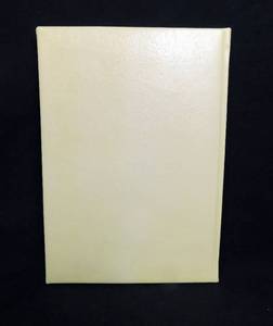 1997 Diana Princess of Wales A Tribute In Photographs by Michael OMara Leather Bound Book