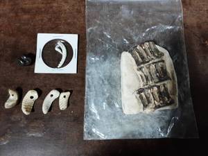 lot 32 image: Fossils