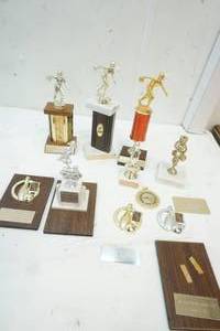 lot 4 image: Variety of Ladies Bowling Trophies